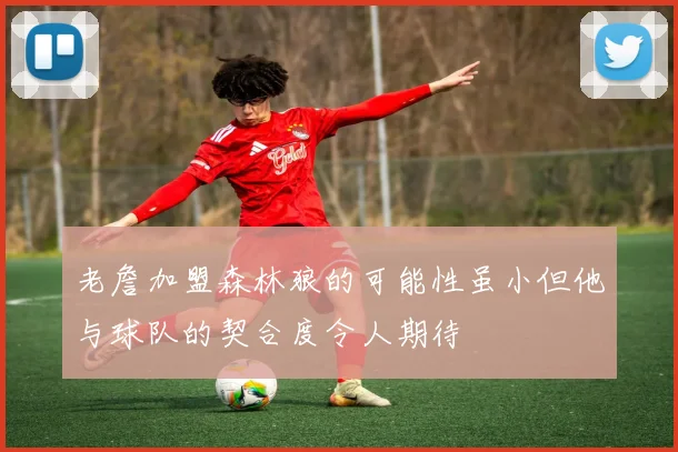 老詹加盟森林狼的可能性虽小但他与球队的契合度令人期待