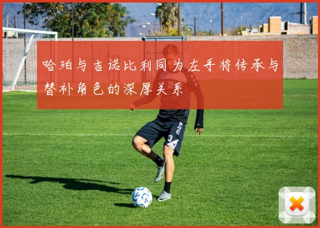 哈珀与吉诺比利同为左手将传承与替补角色的深厚关系