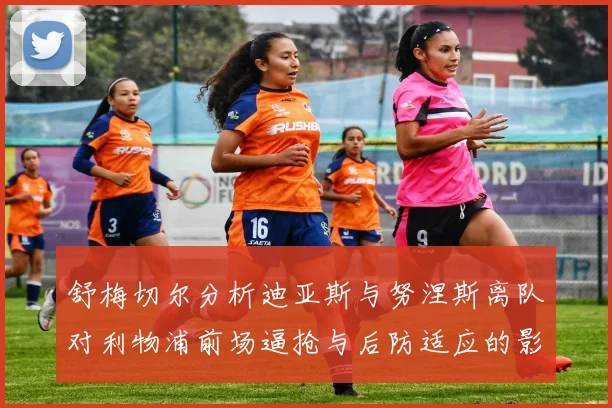 舒梅切尔分析迪亚斯与努涅斯离队对利物浦前场逼抢与后防适应的影响
